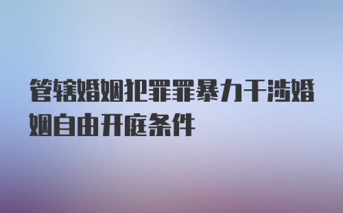 管辖婚姻犯罪罪暴力干涉婚姻自由开庭条件