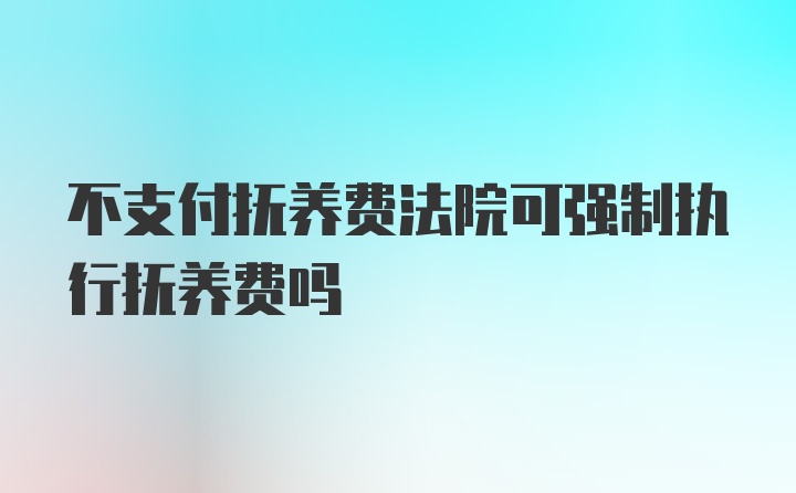 不支付抚养费法院可强制执行抚养费吗