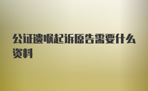 公证遗嘱起诉原告需要什么资料