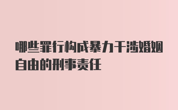 哪些罪行构成暴力干涉婚姻自由的刑事责任