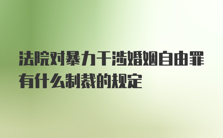 法院对暴力干涉婚姻自由罪有什么制裁的规定