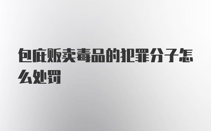 包庇贩卖毒品的犯罪分子怎么处罚