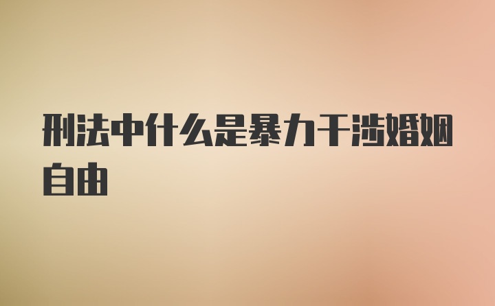 刑法中什么是暴力干涉婚姻自由