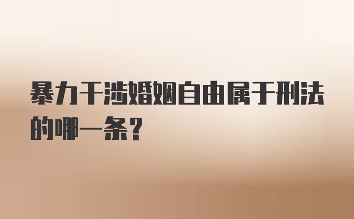 暴力干涉婚姻自由属于刑法的哪一条？