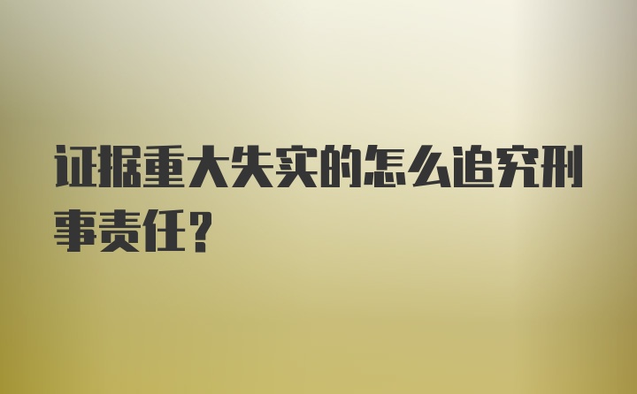 证据重大失实的怎么追究刑事责任？