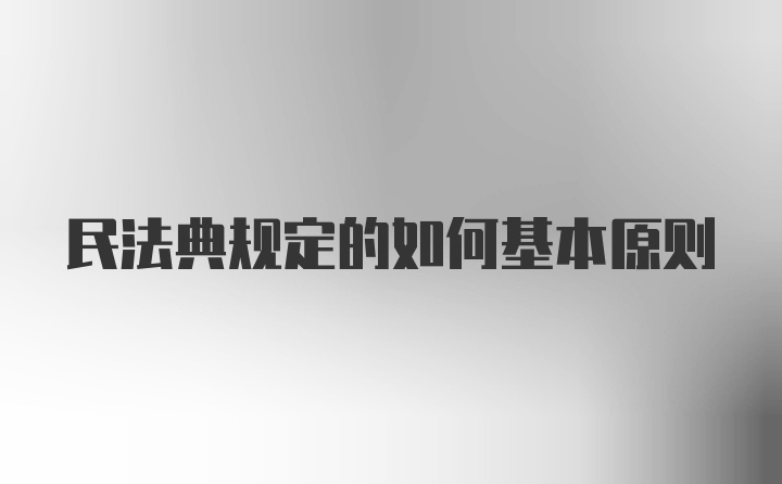 民法典规定的如何基本原则