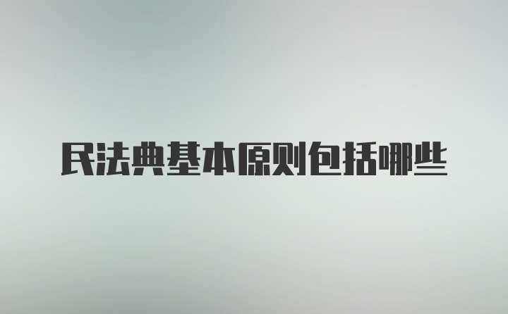 民法典基本原则包括哪些