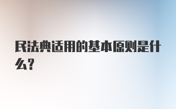 民法典适用的基本原则是什么？