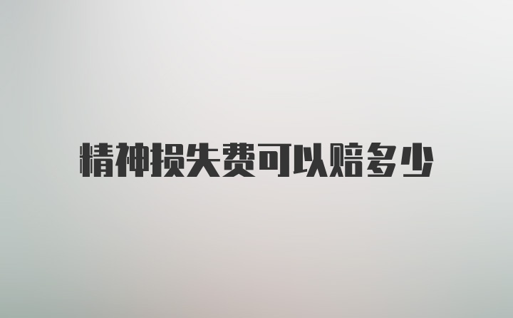 精神损失费可以赔多少