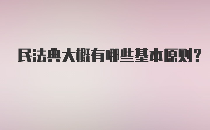 民法典大概有哪些基本原则?