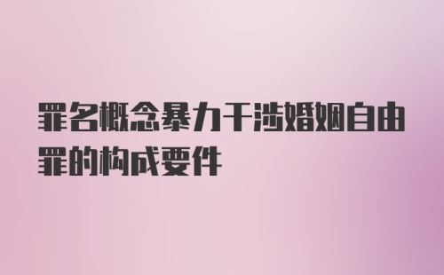 罪名概念暴力干涉婚姻自由罪的构成要件