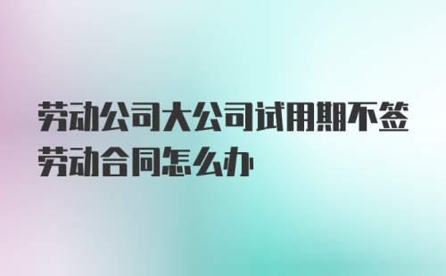 劳动公司大公司试用期不签劳动合同怎么办