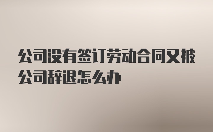 公司没有签订劳动合同又被公司辞退怎么办