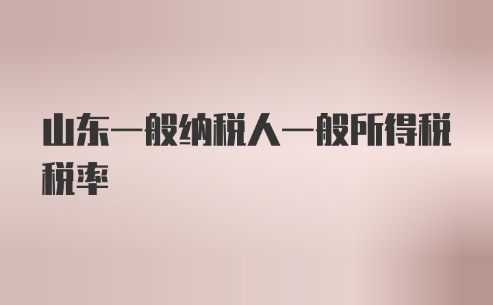 山东一般纳税人一般所得税税率