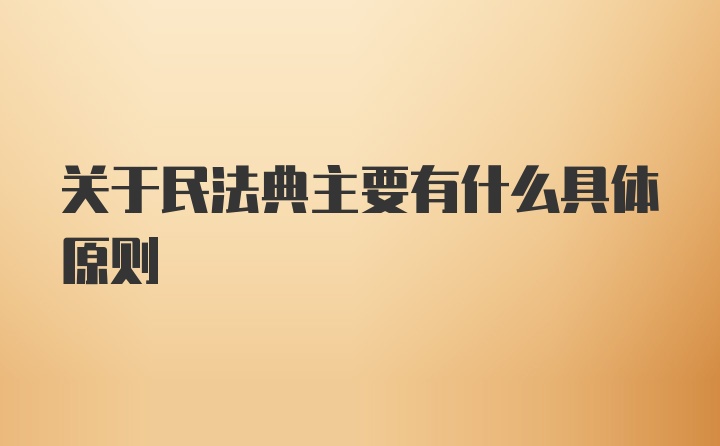 关于民法典主要有什么具体原则