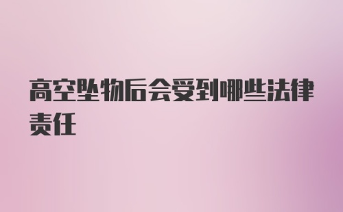 高空坠物后会受到哪些法律责任