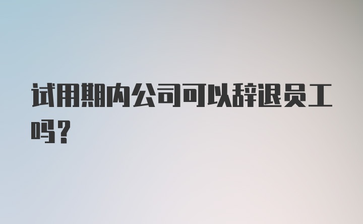 试用期内公司可以辞退员工吗？