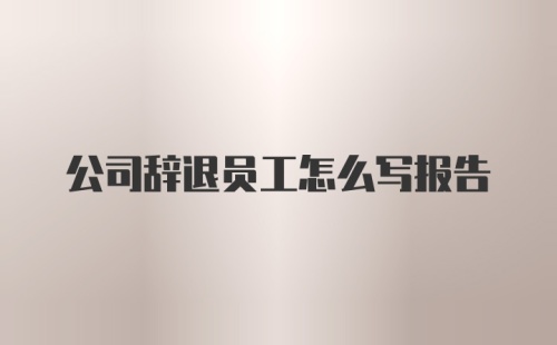 公司辞退员工怎么写报告