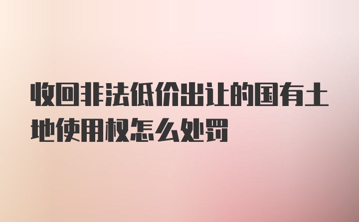 收回非法低价出让的国有土地使用权怎么处罚