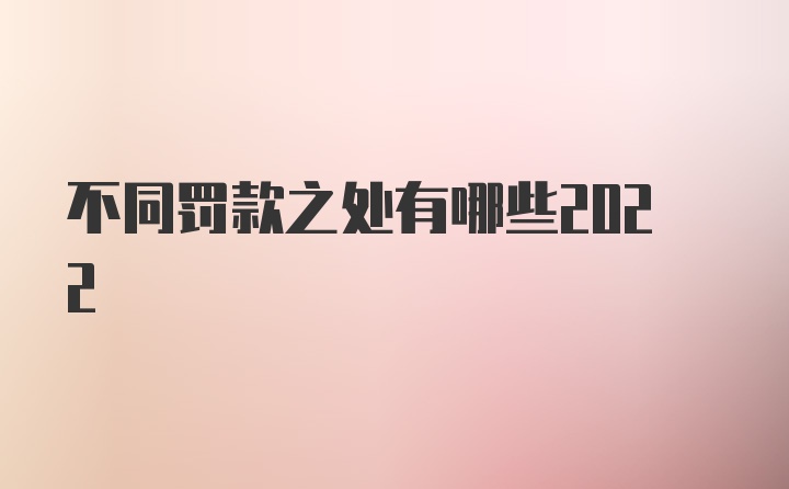 不同罚款之处有哪些2022