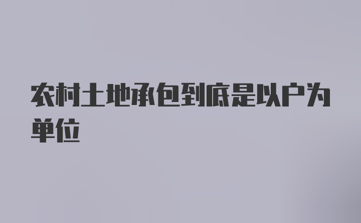 农村土地承包到底是以户为单位