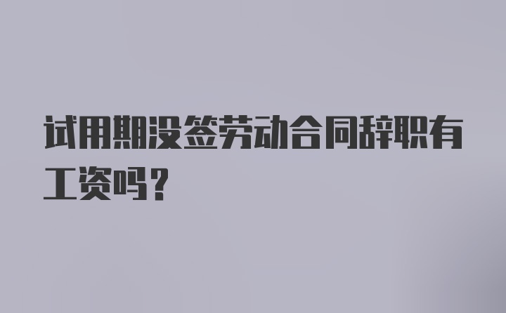 试用期没签劳动合同辞职有工资吗？