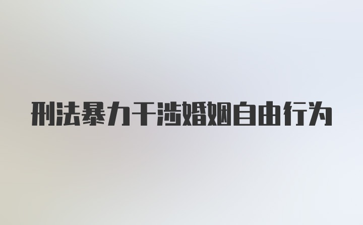 刑法暴力干涉婚姻自由行为