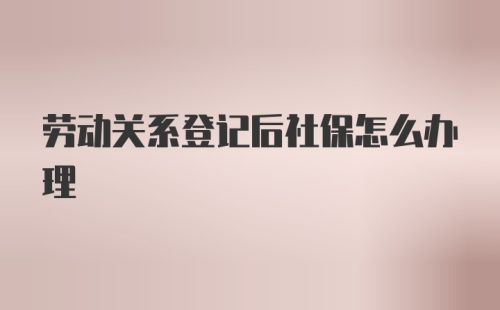 劳动关系登记后社保怎么办理