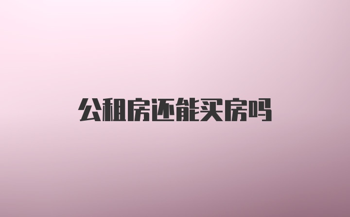 公租房还能买房吗