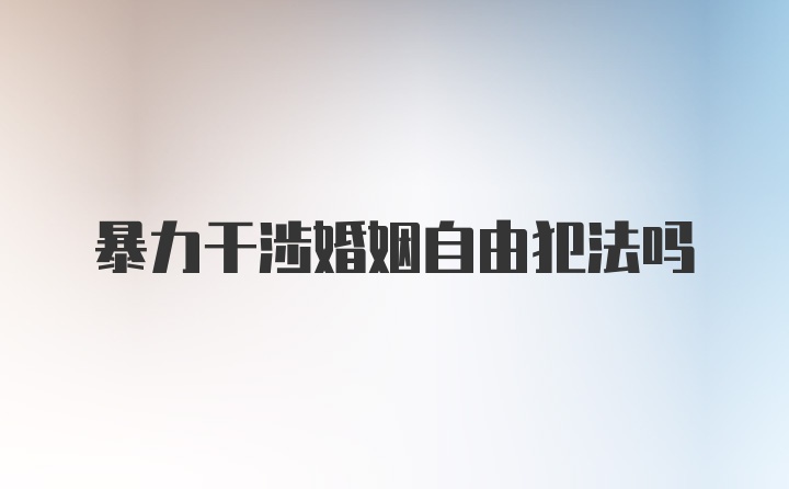 暴力干涉婚姻自由犯法吗