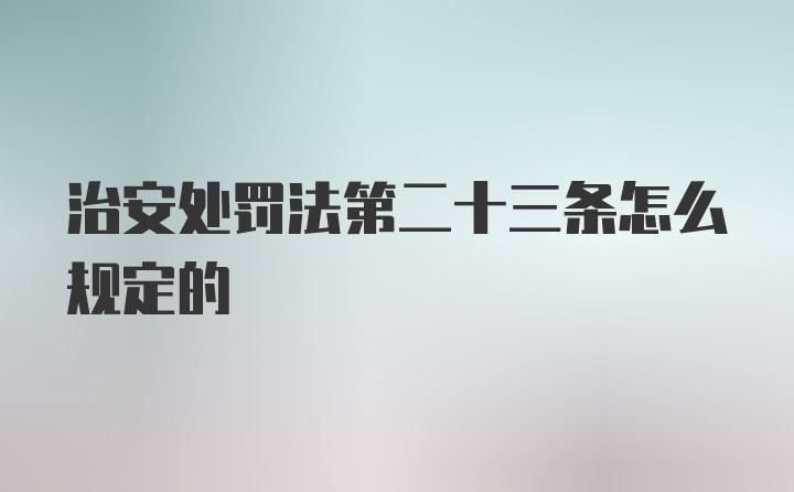 治安处罚法第二十三条怎么规定的