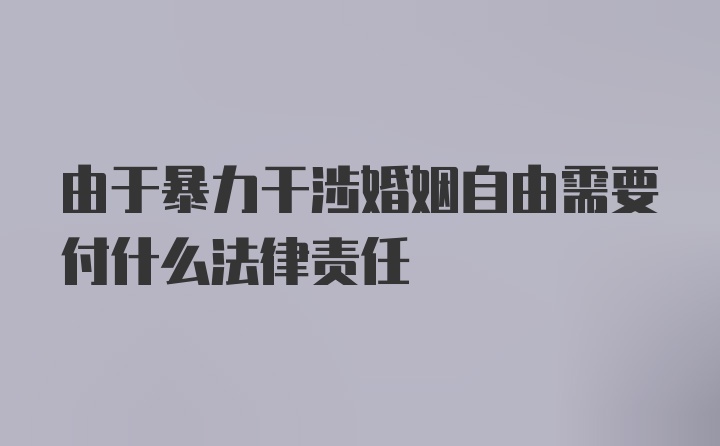 由于暴力干涉婚姻自由需要付什么法律责任