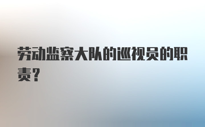 劳动监察大队的巡视员的职责？