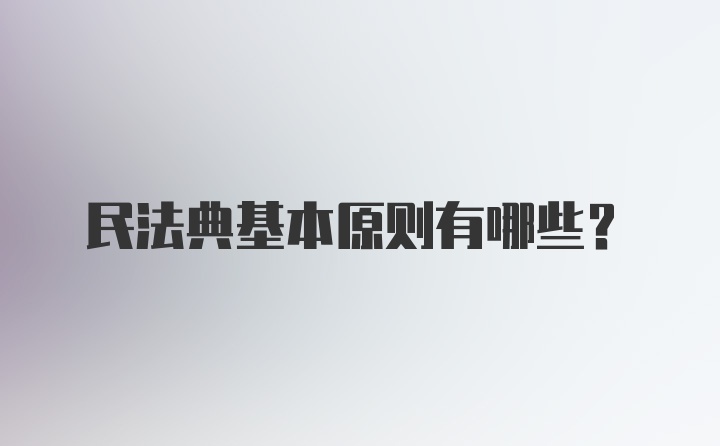 民法典基本原则有哪些？