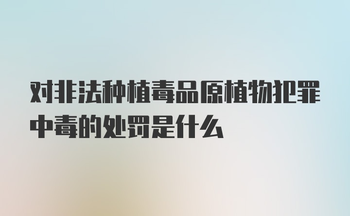 对非法种植毒品原植物犯罪中毒的处罚是什么