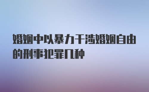 婚姻中以暴力干涉婚姻自由的刑事犯罪几种