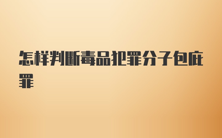 怎样判断毒品犯罪分子包庇罪