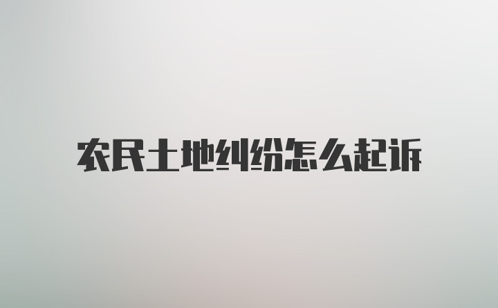 农民土地纠纷怎么起诉