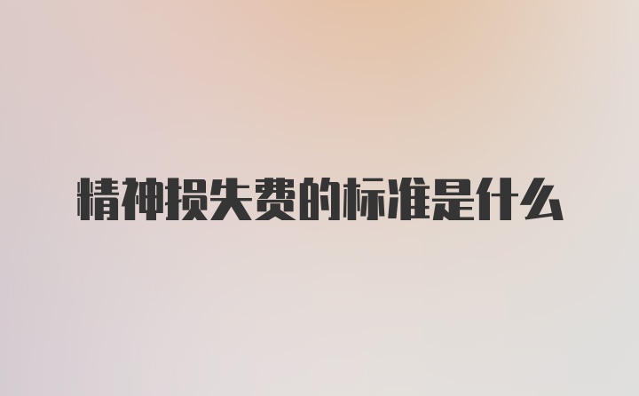 精神损失费的标准是什么