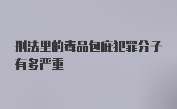 刑法里的毒品包庇犯罪分子有多严重