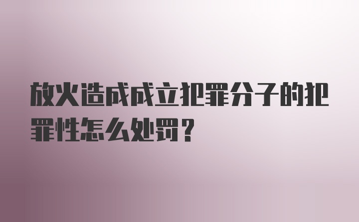 放火造成成立犯罪分子的犯罪性怎么处罚？