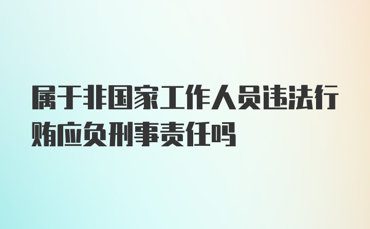 属于非国家工作人员违法行贿应负刑事责任吗