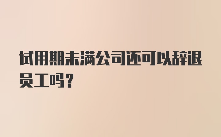 试用期未满公司还可以辞退员工吗？