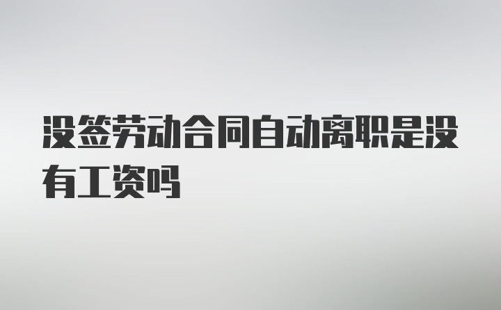 没签劳动合同自动离职是没有工资吗