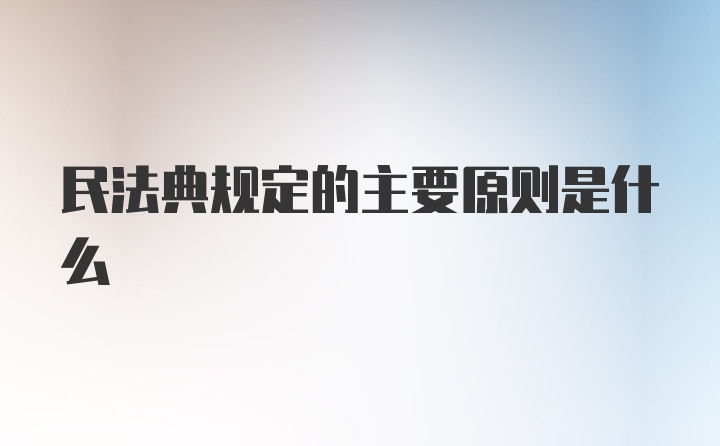 民法典规定的主要原则是什么