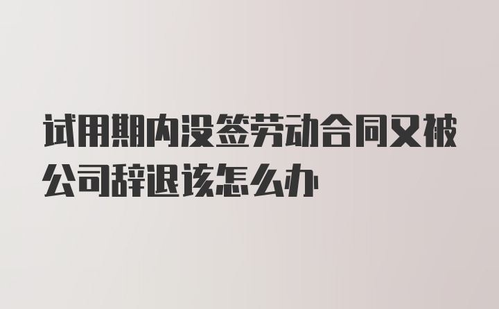 试用期内没签劳动合同又被公司辞退该怎么办