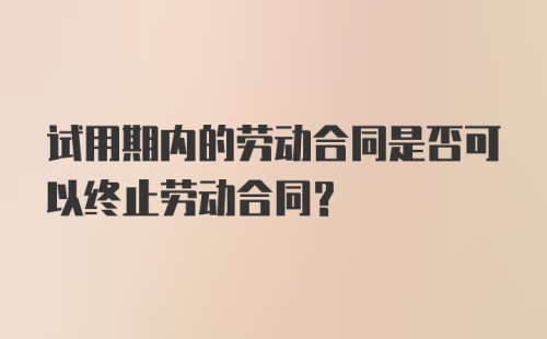 试用期内的劳动合同是否可以终止劳动合同？