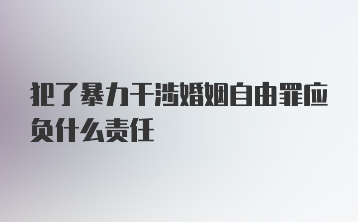 犯了暴力干涉婚姻自由罪应负什么责任