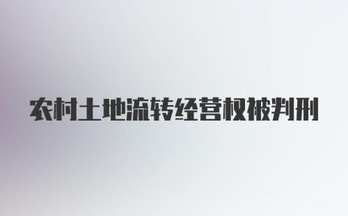 农村土地流转经营权被判刑