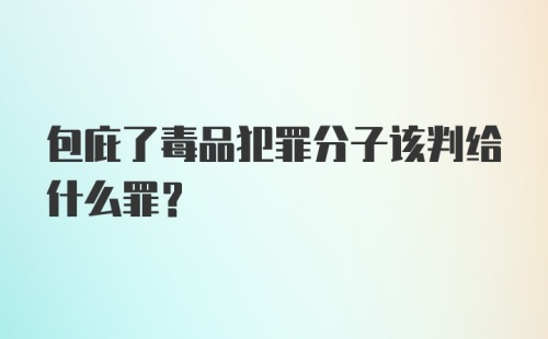 包庇了毒品犯罪分子该判给什么罪？